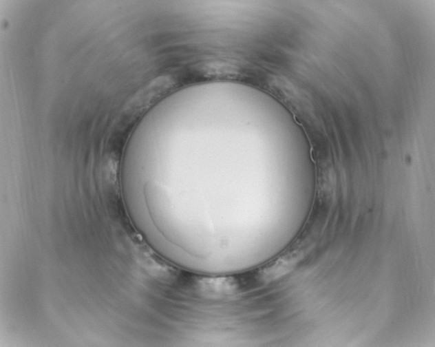 X0000088840281200706281829