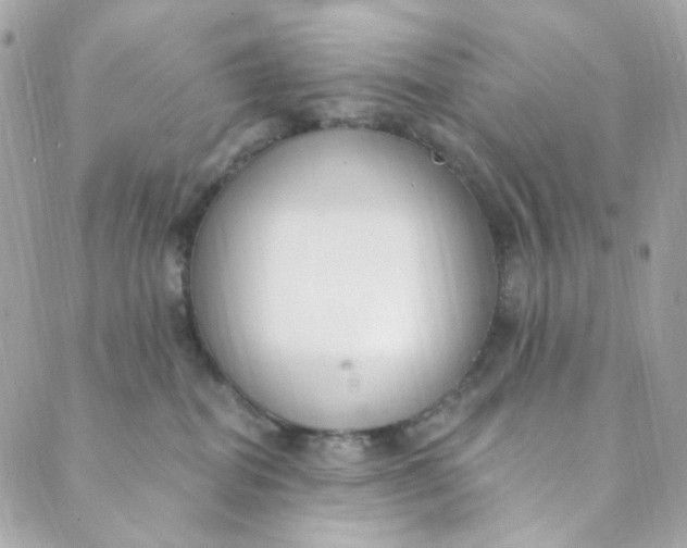 X0000088840282200706281829