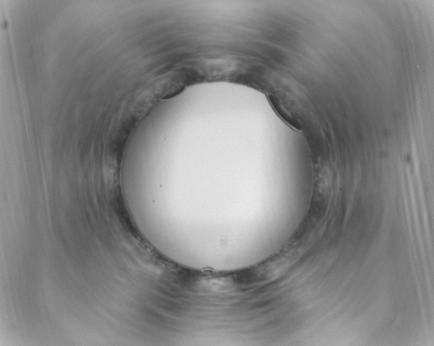 X0000088840283200706281829