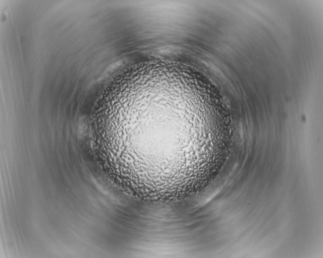 X0000088840284200706281829