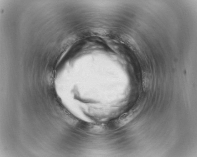 X0000088840285200706281829