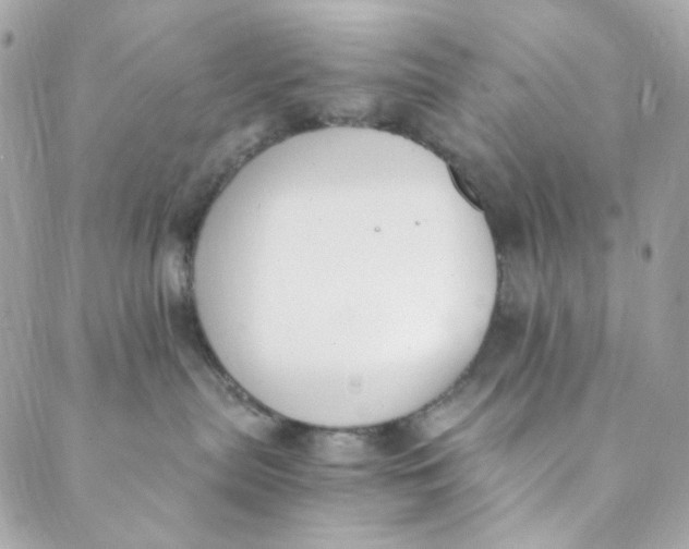 X0000088840287200706281829