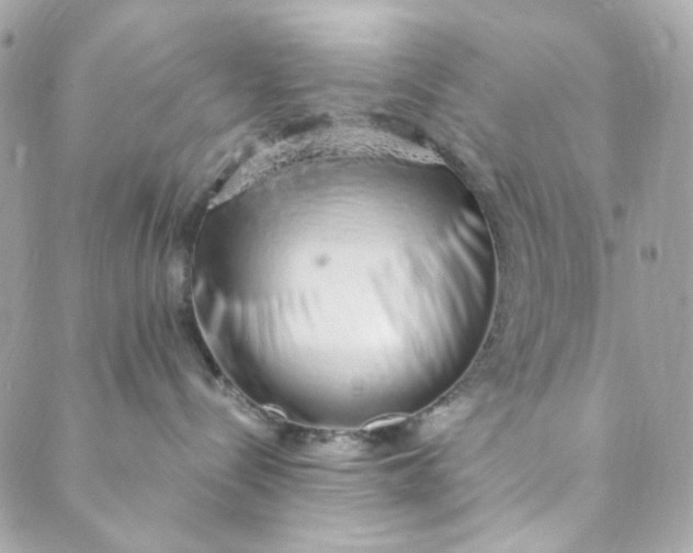 X0000088840288200706281829