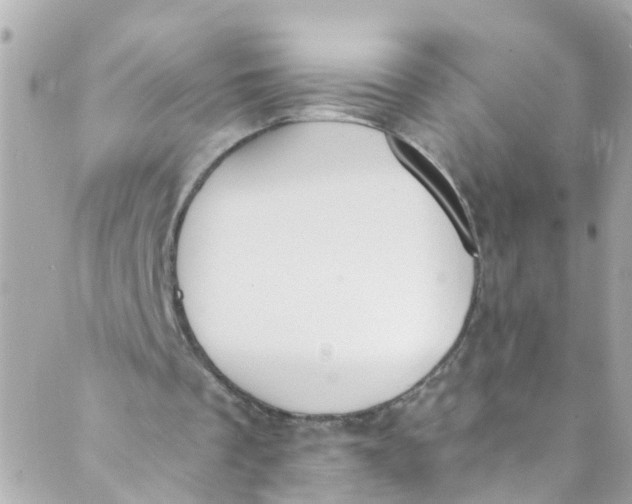 X0000088840289200706281828