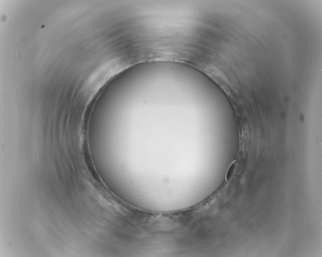 X0000088840290200706281828