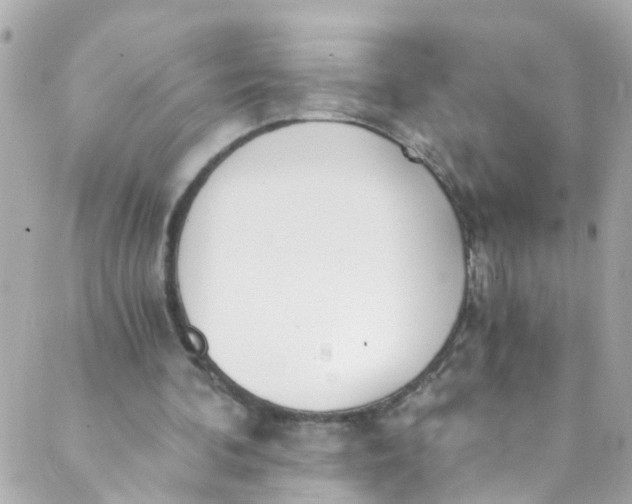 X0000088840292200706281828