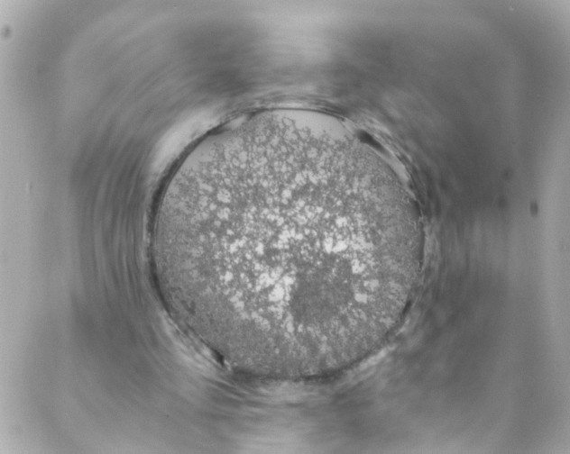 X0000088840293200706281828