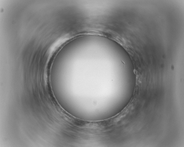 X0000088840294200706281828