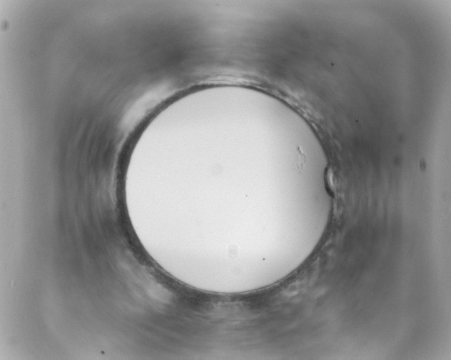 X0000088840296200706281828