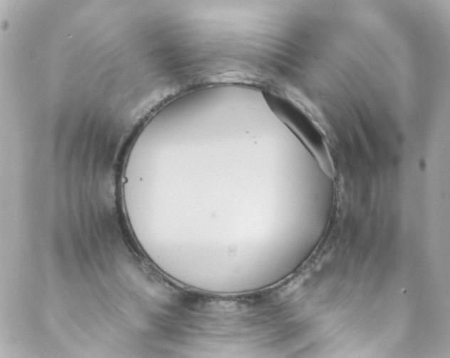 X0000088840298200706281828