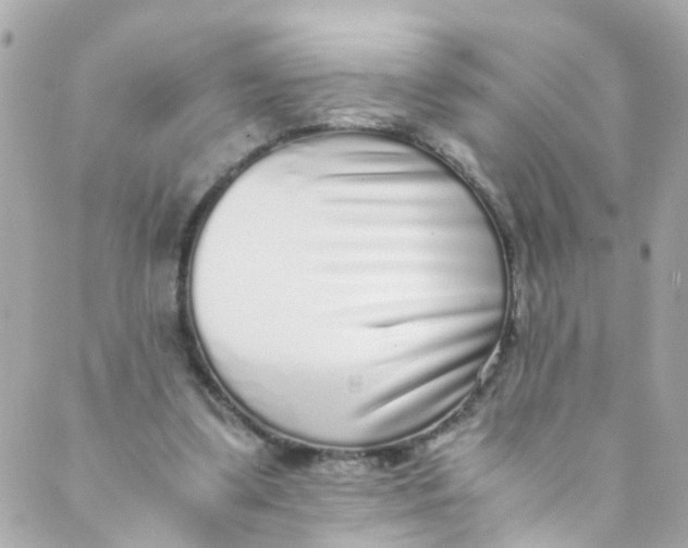 X0000088840299200706281828