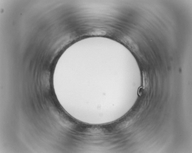 X0000088840300200706281828