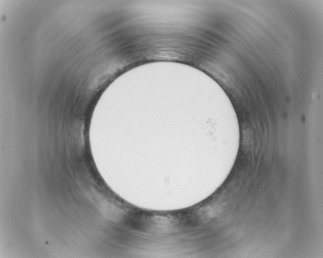 X0000088840302200706281828