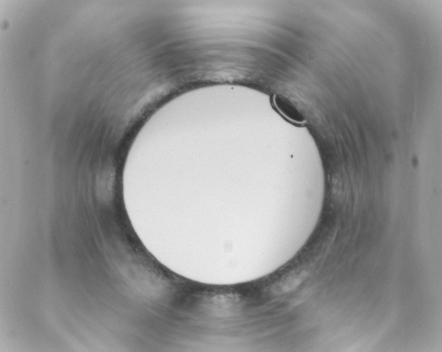 X0000088840304200706281828