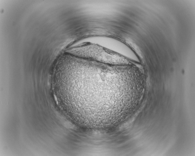 X0000088840305200706281828