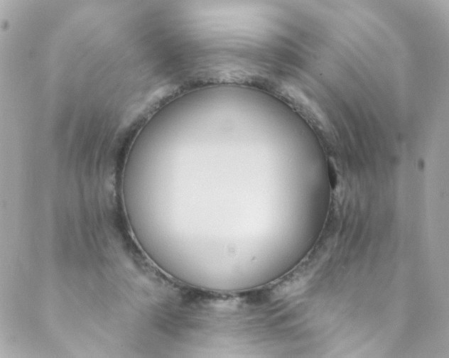 X0000088840306200706281828