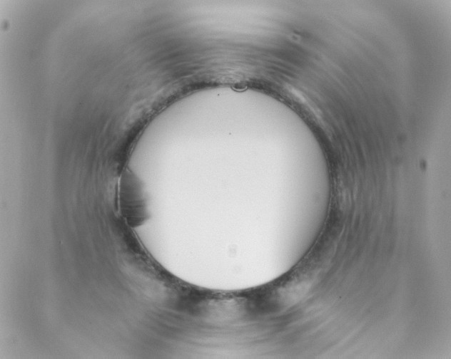 X0000088840307200706281828