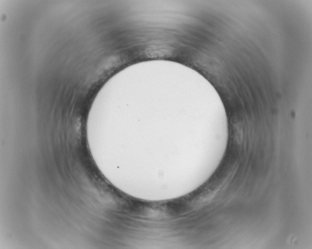 X0000088840308200706281828