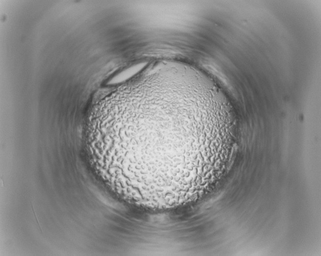 X0000088840309200706281828