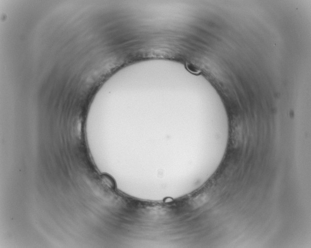 X0000088840310200706281828