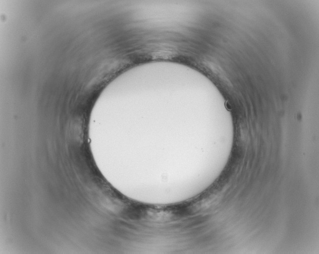 X0000088840311200706281828