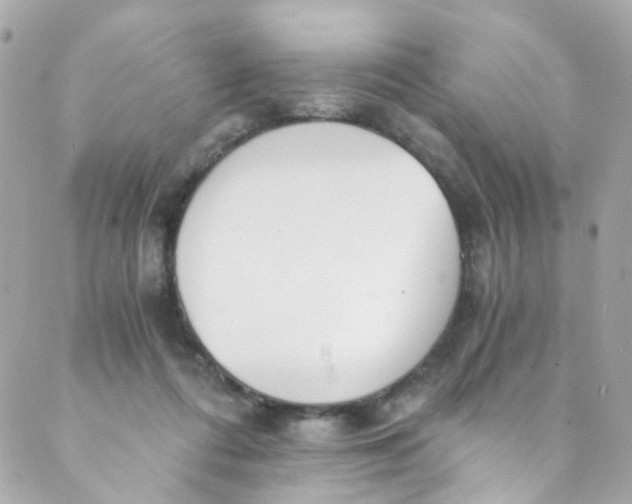 X0000088840312200706281828