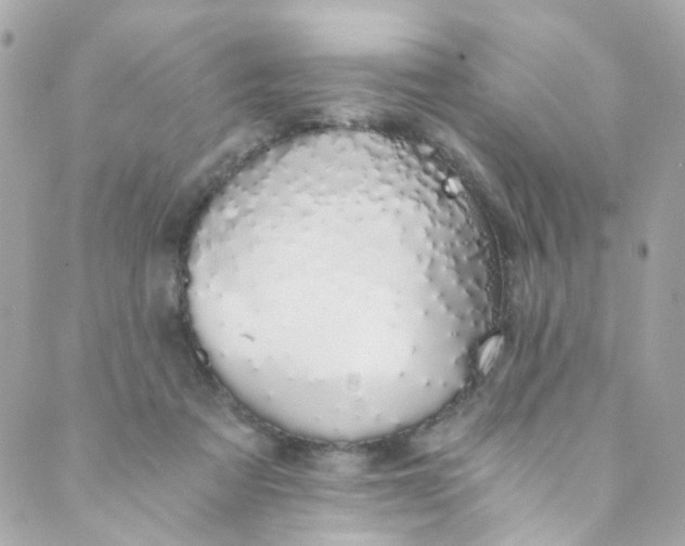 X0000088840313200706281828