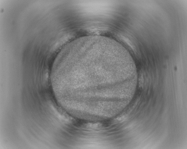 X0000088840314200706281828