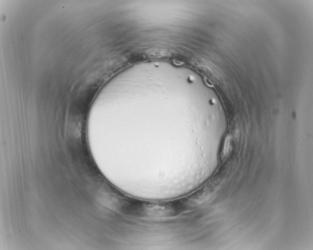 X0000088840315200706281828