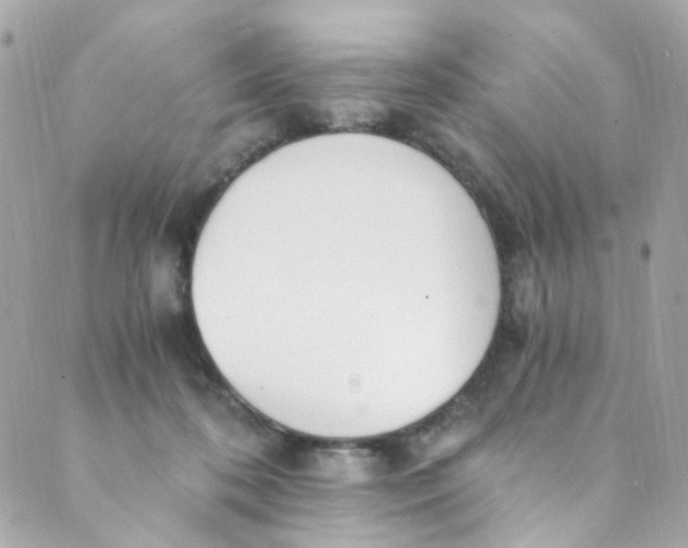 X0000088840316200706281828