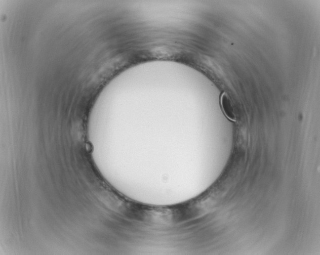 X0000088840317200706281828