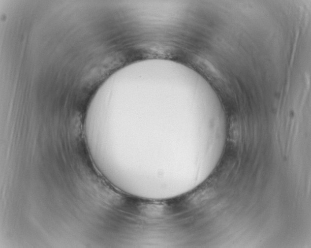 X0000088840318200706281828