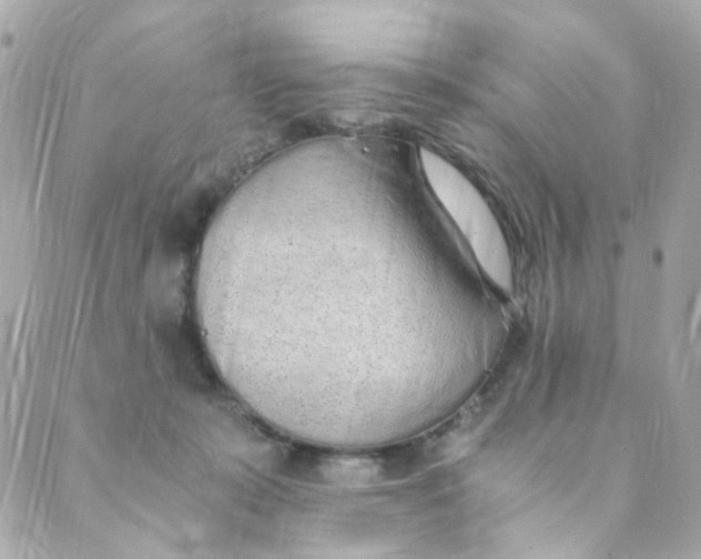 X0000088840319200706281828