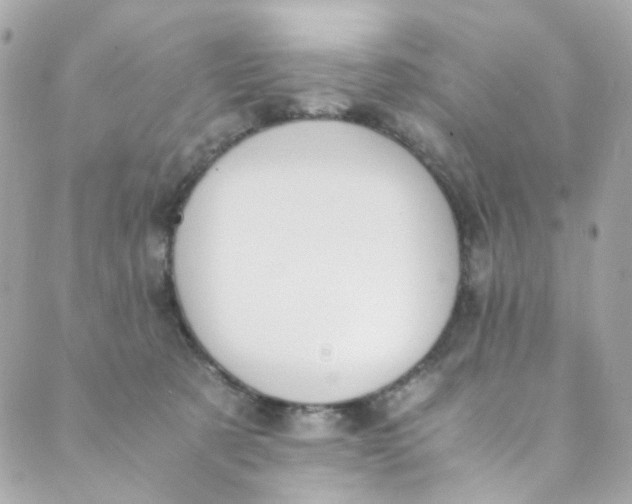 X0000088840321200706281828