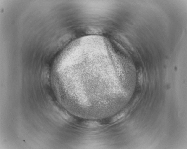 X0000088840322200706281828