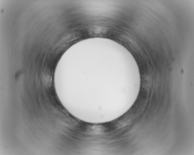 X0000088840324200706281828