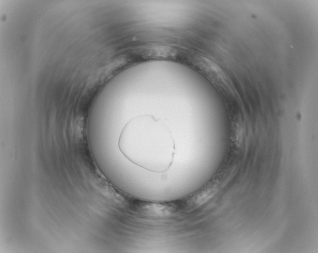 X0000088840326200706281828