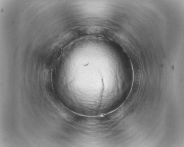 X0000088840327200706281828