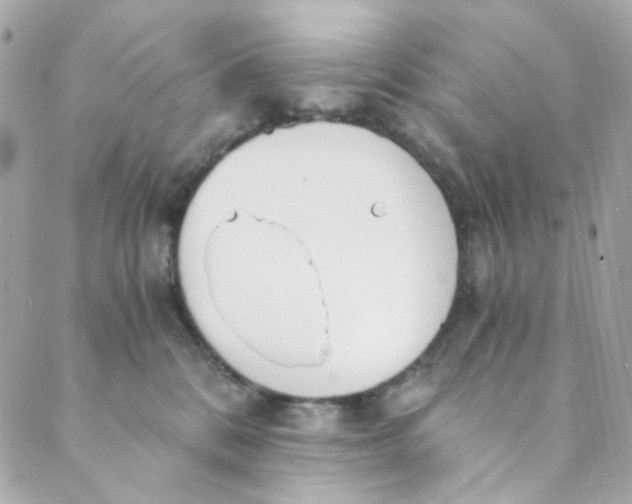 X0000088840328200706281828