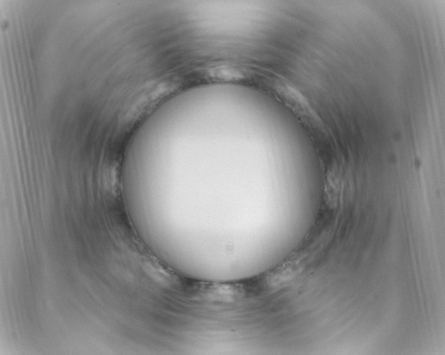 X0000088840330200706281828