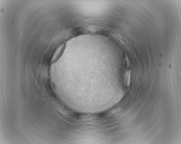 X0000088840331200706281828