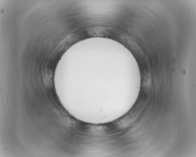 X0000088840332200706281828