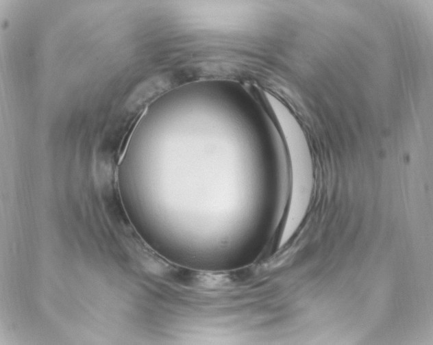 X0000088840333200706281828