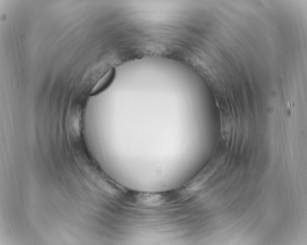 X0000088840334200706281828