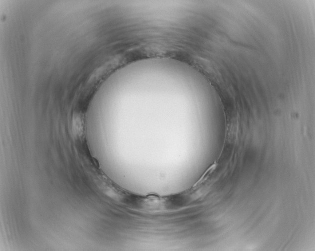 X0000088840335200706281828