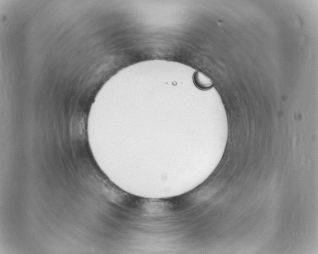 X0000088840336200706281828