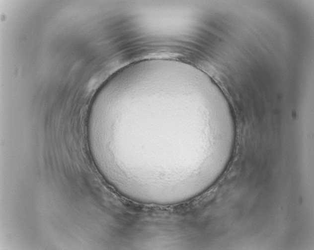 X0000088840337200706281827