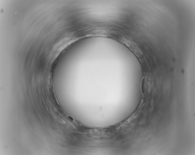 X0000088840338200706281827