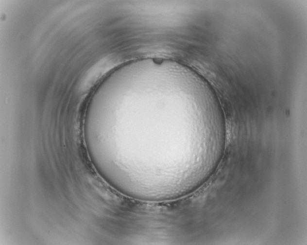 X0000088840339200706281827