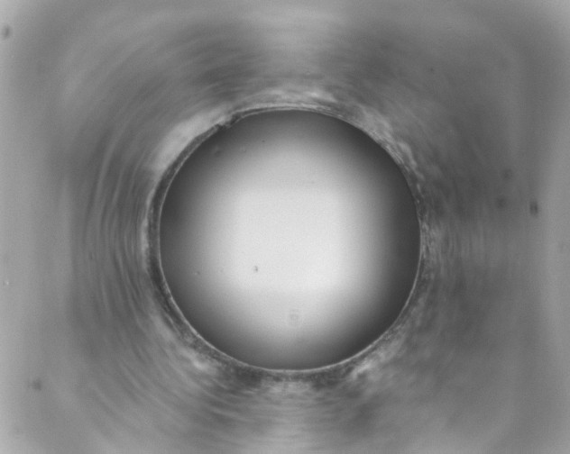 X0000088840340200706281827